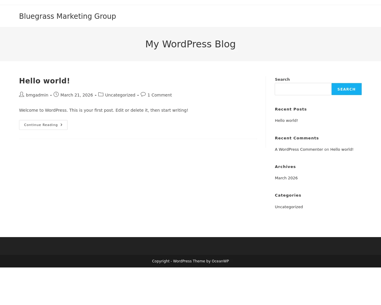 Screenshot of bluegrassmarketinggroup.com