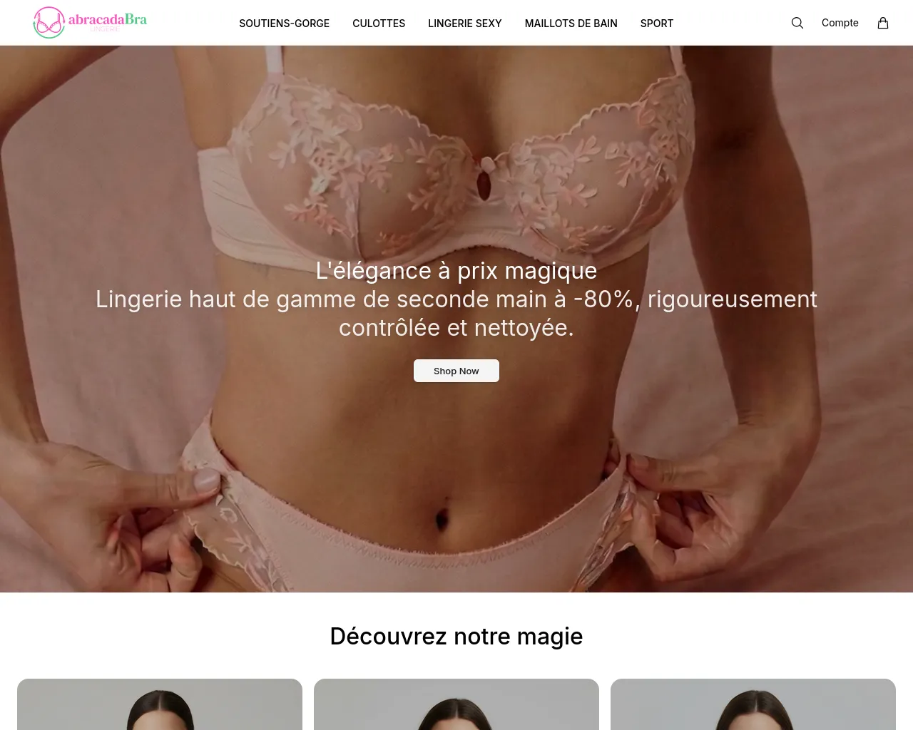 Screenshot of abracadabralingerieshop.shop