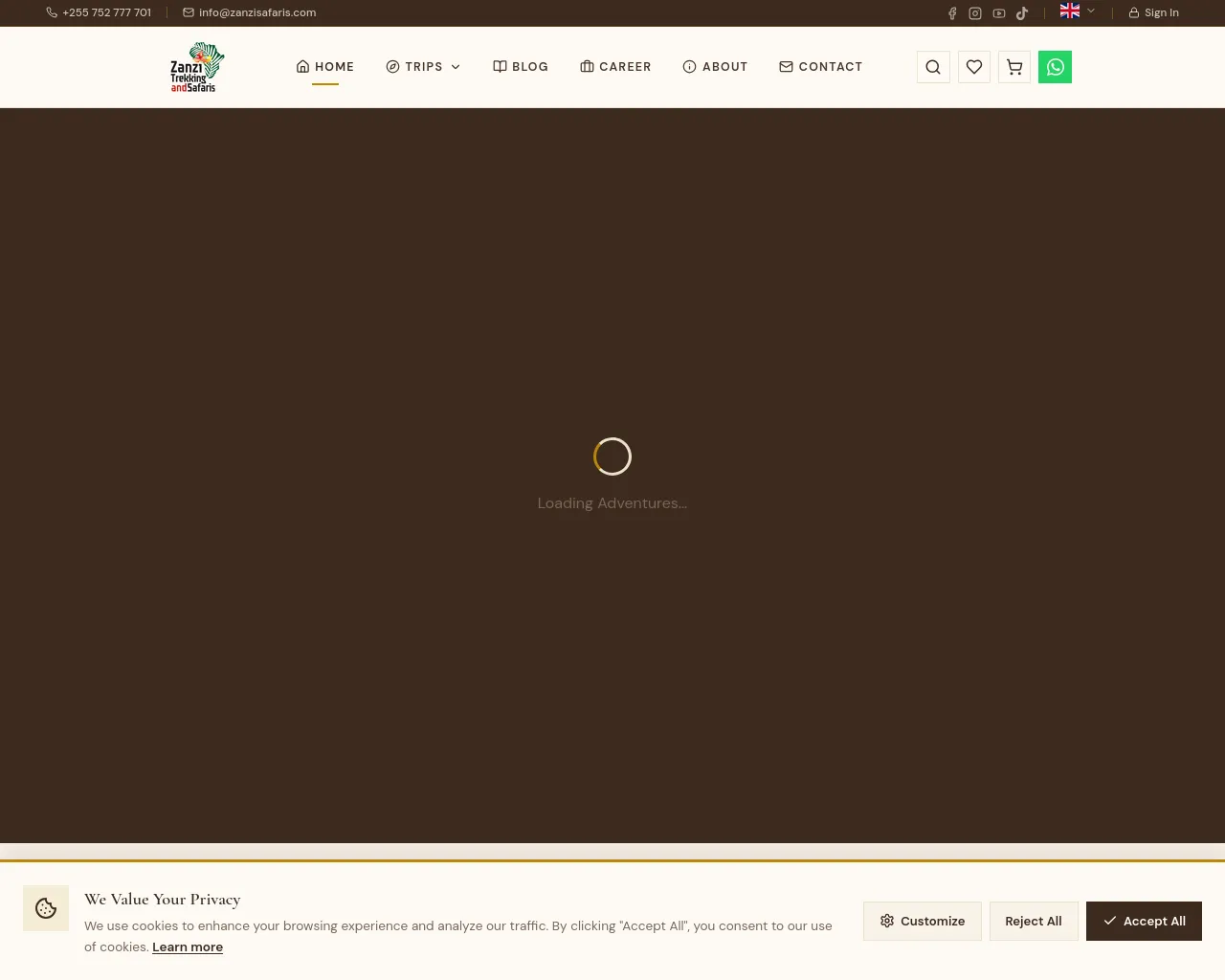 Screenshot of thevillagebell.com