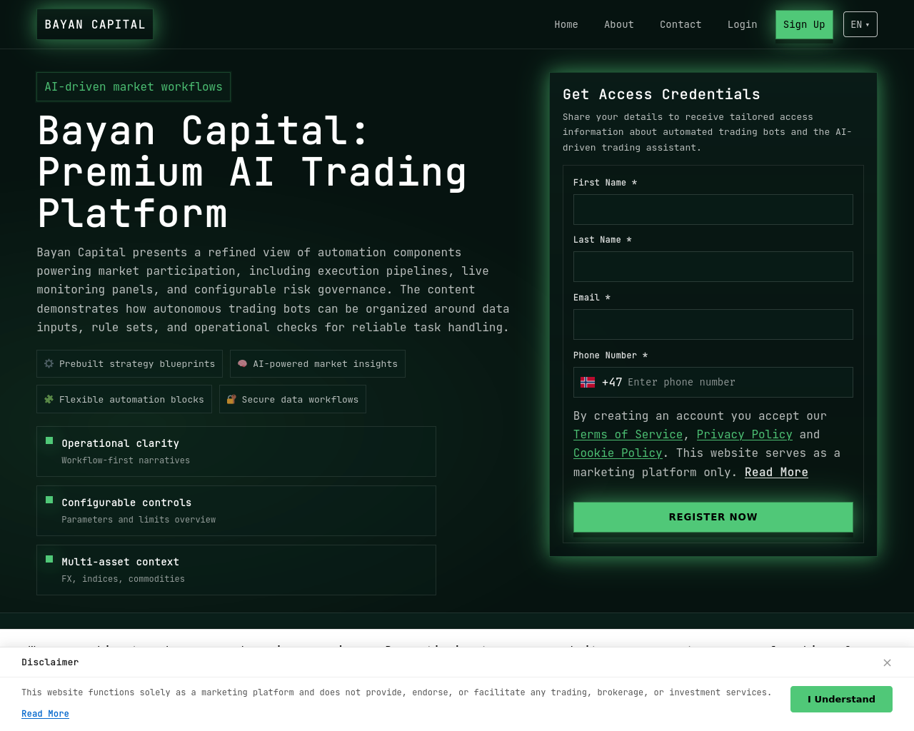 Screenshot of bayancapital-solution.com
