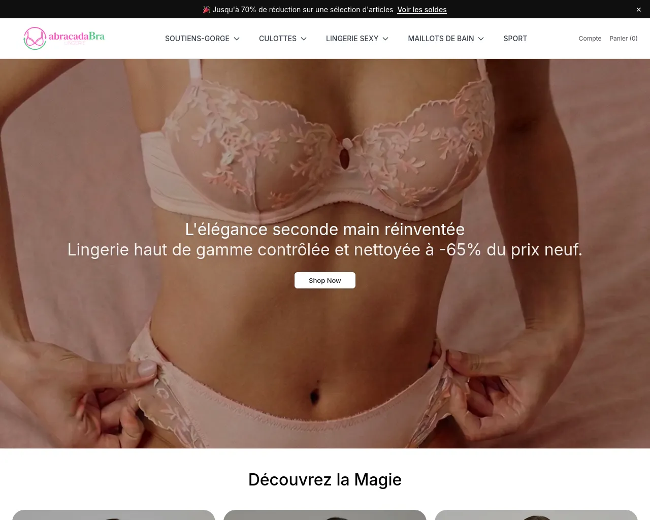 Screenshot of abracadabralingerieboutique.shop