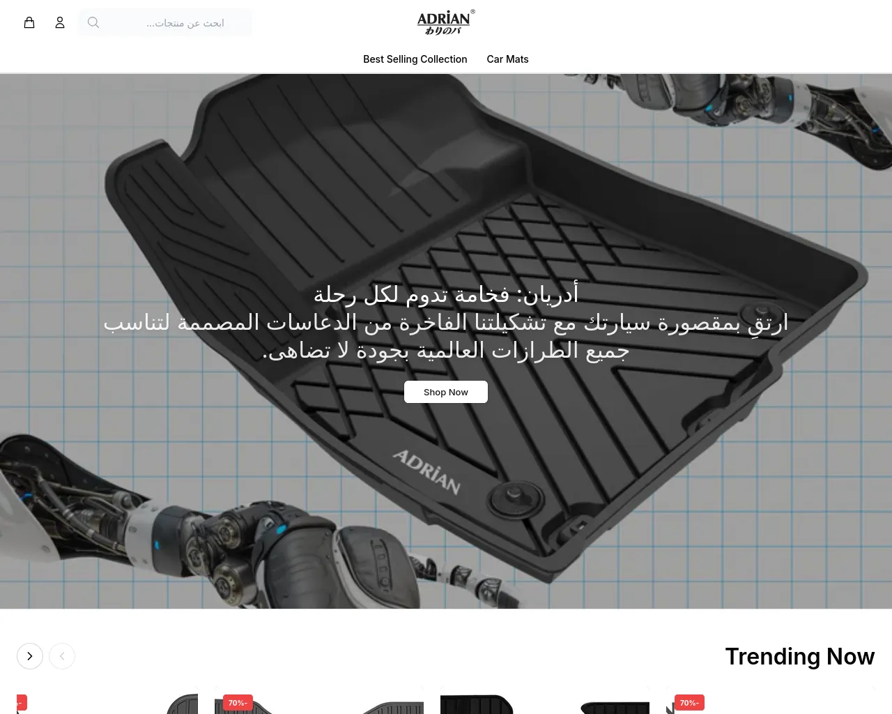 Screenshot of adriankauto.shop