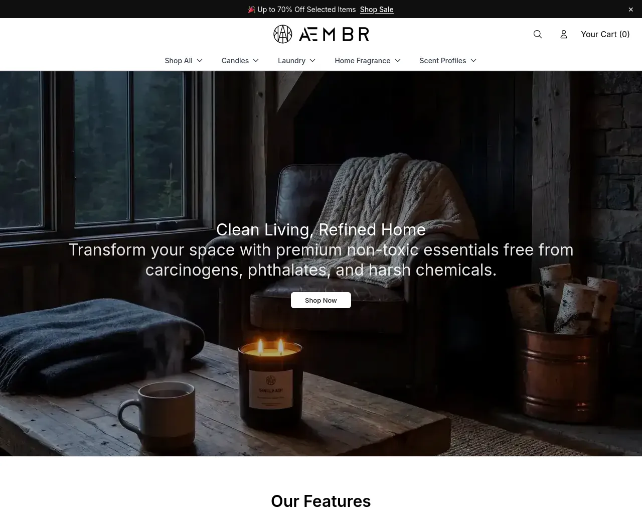 Screenshot of aembronline.shop