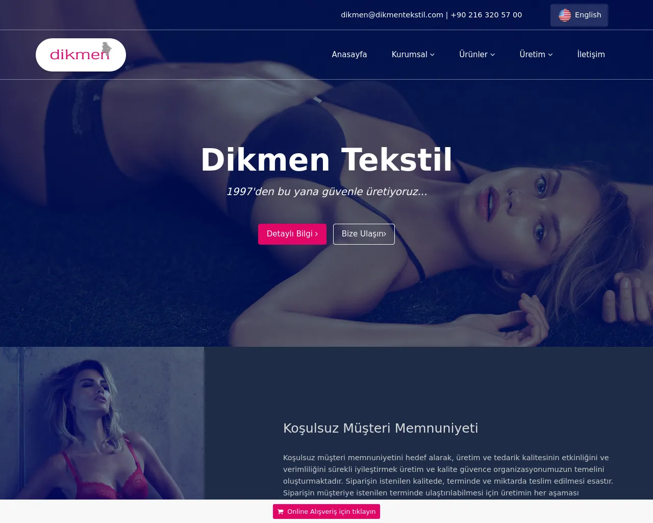 Screenshot of dikmentekstil.com