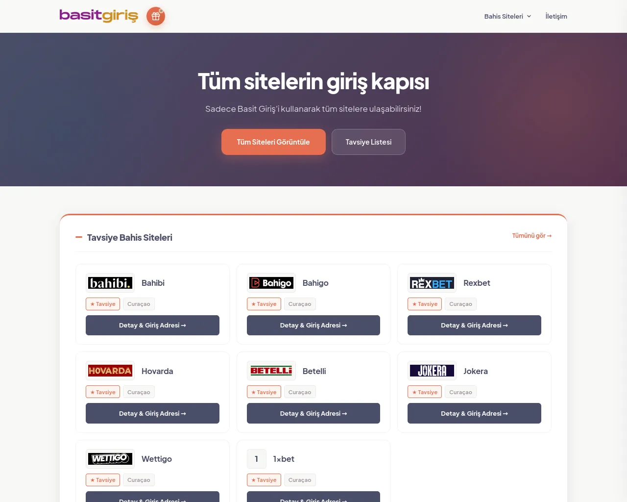 Screenshot of basitgiris.one