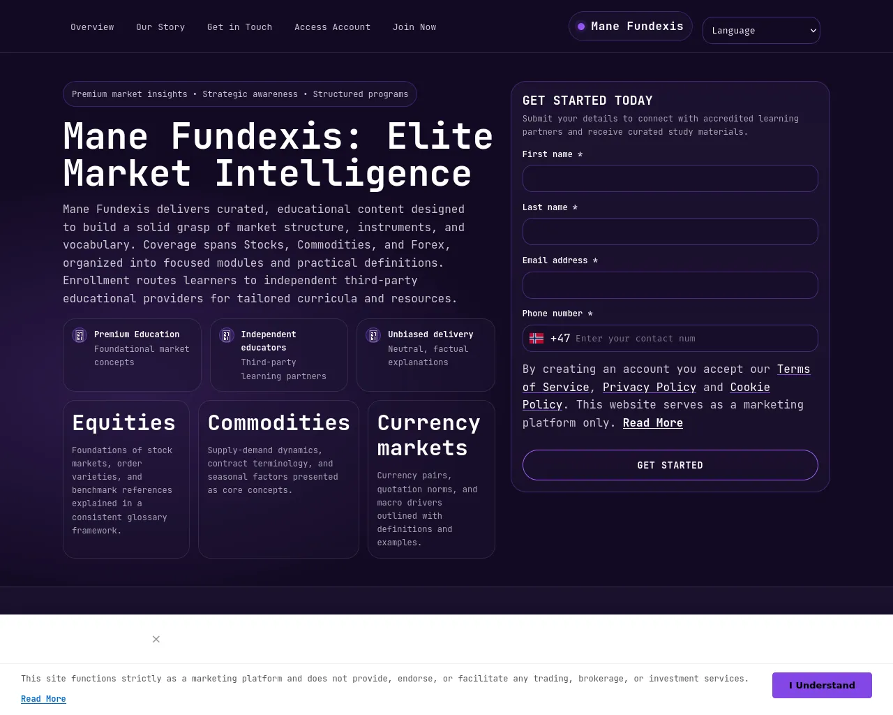 Screenshot of mane-fundexis-engine.com