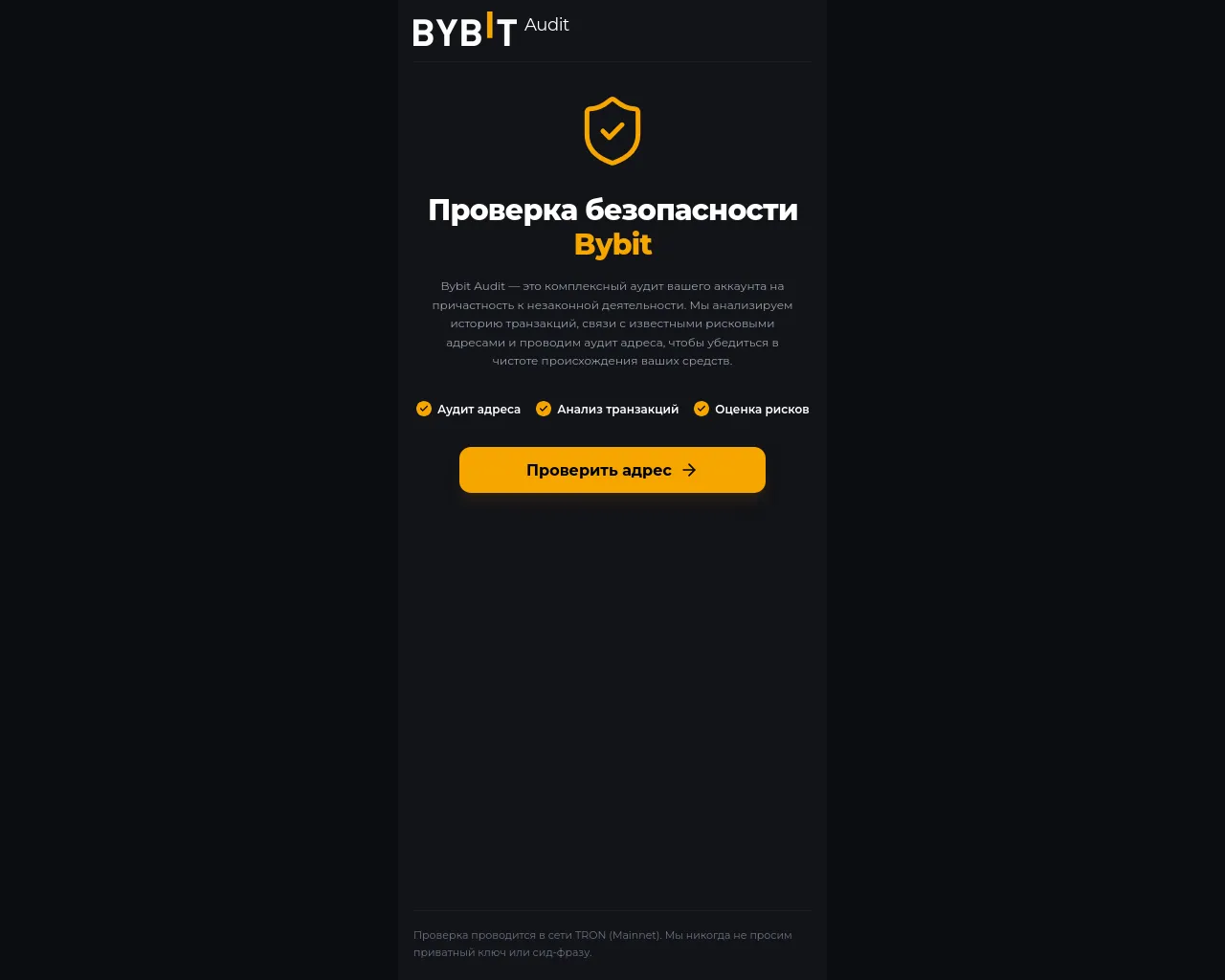 Screenshot of p2pbybit-audit.com