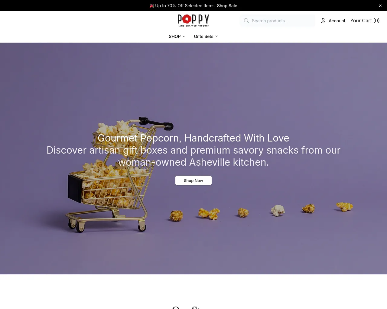 Screenshot of addisonstore.shop