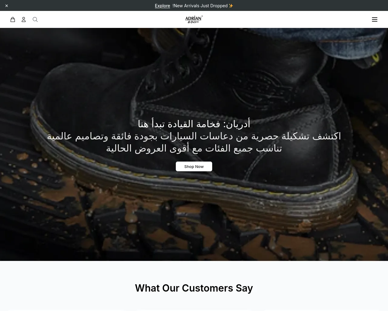 Screenshot of adrianksaauto.shop