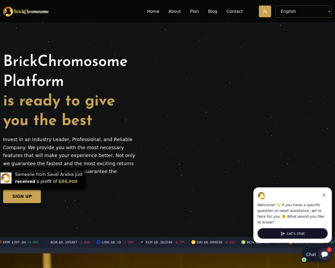Screenshot of brickchromosome.com