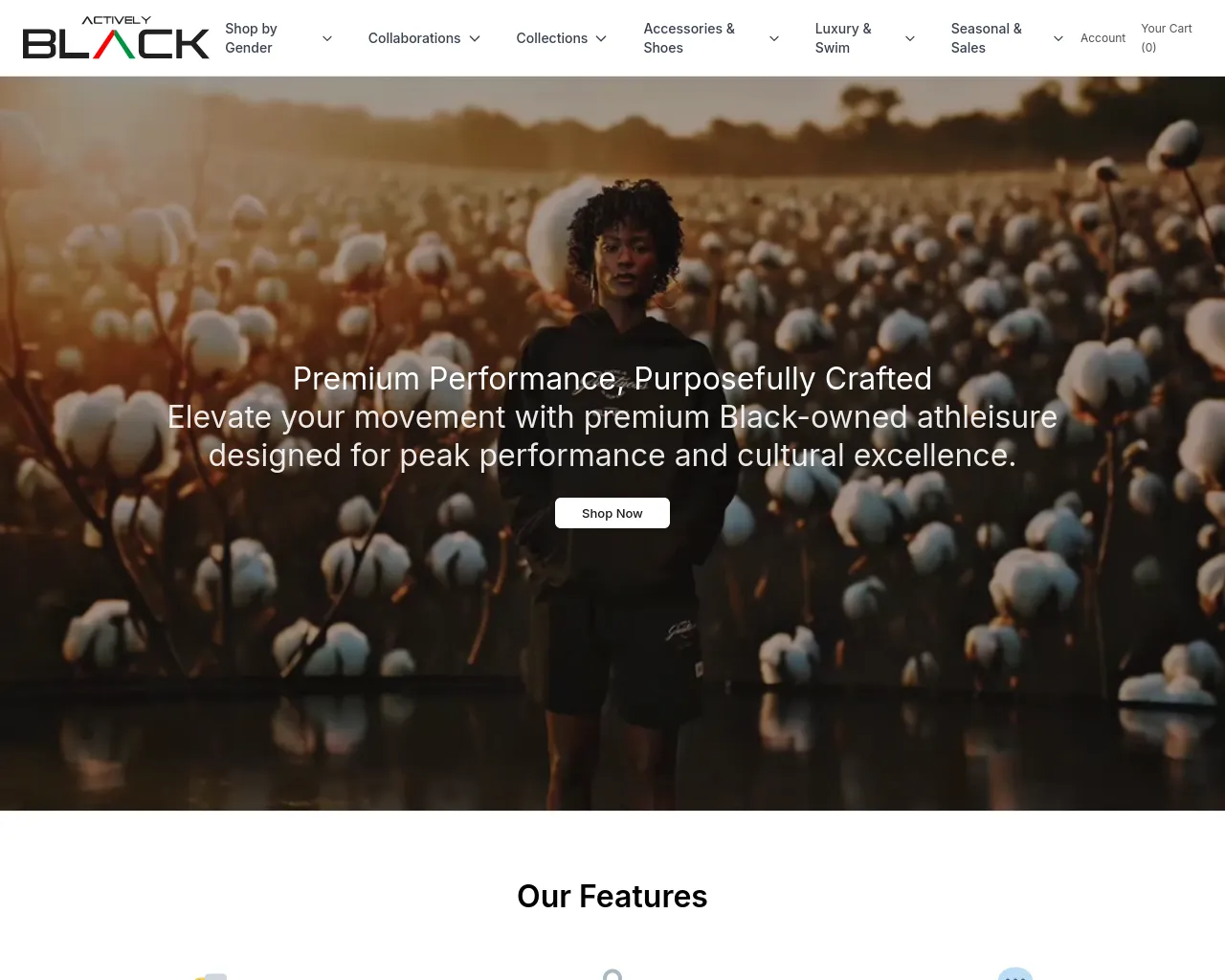 Screenshot of activelyblack.shop