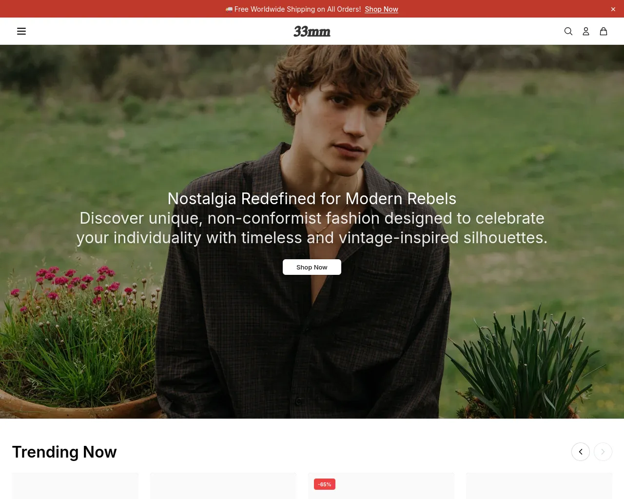 Screenshot of 33mmhub.shop