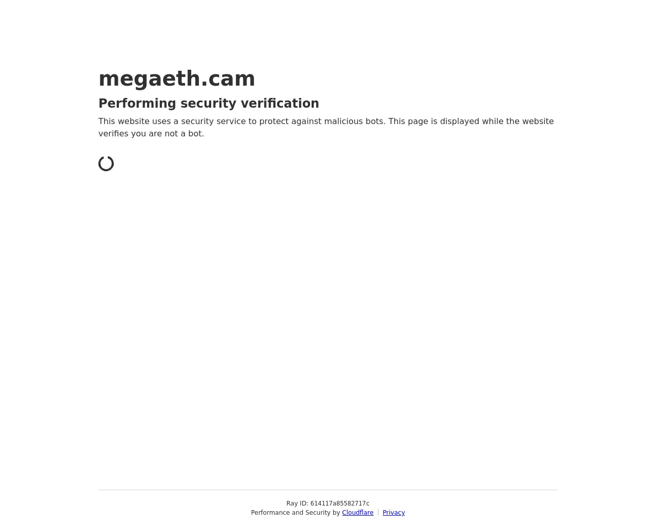 Screenshot of megaeth.cam