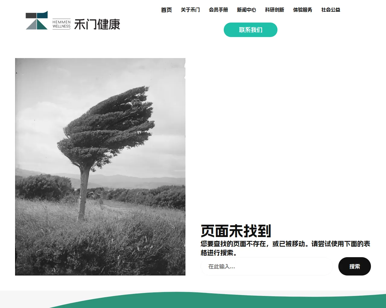Screenshot of hemmenwellness.com