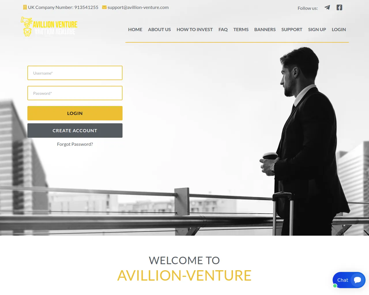 Screenshot of avillion-venture.com