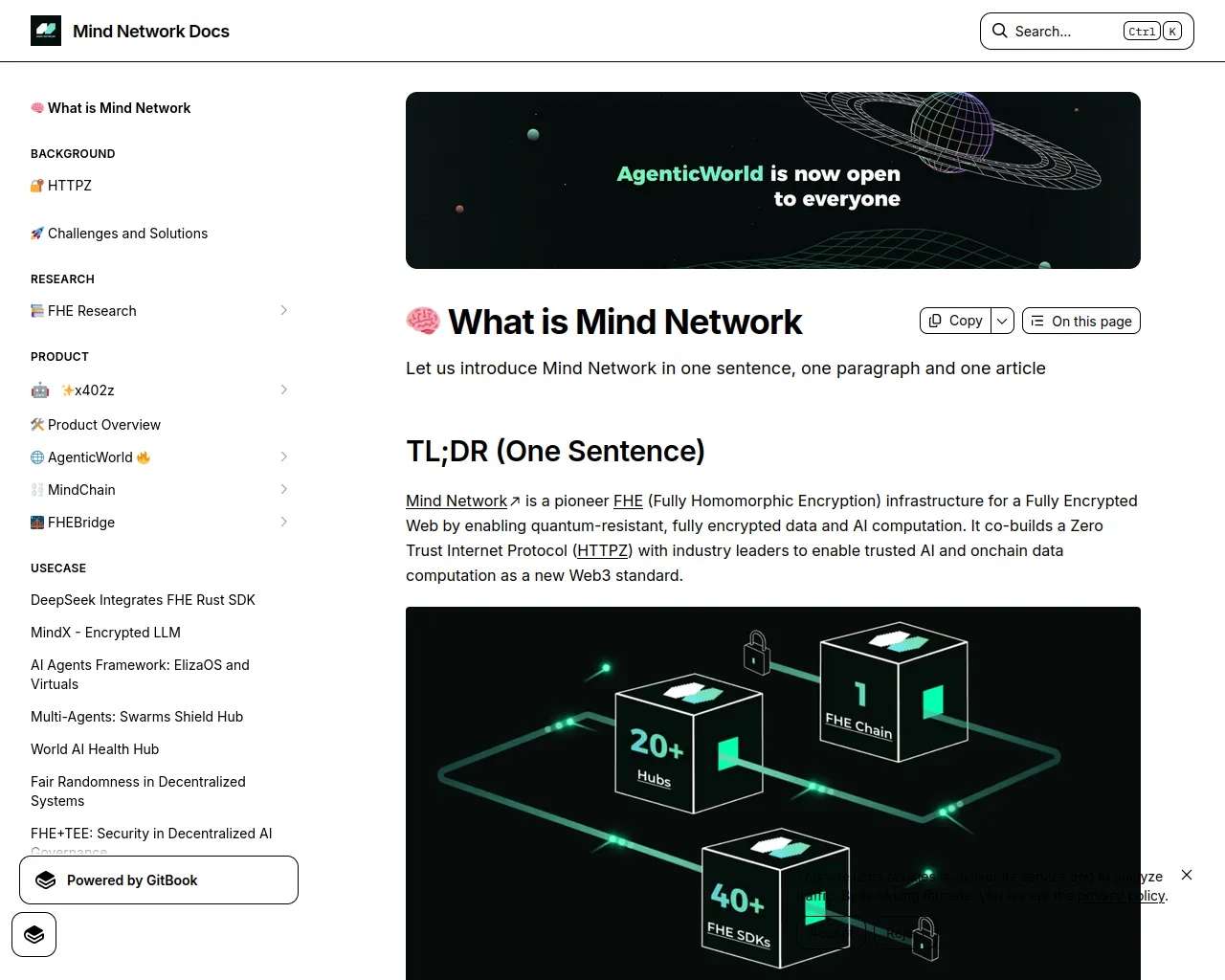 Screenshot of mindnetwork-xyz.xyz