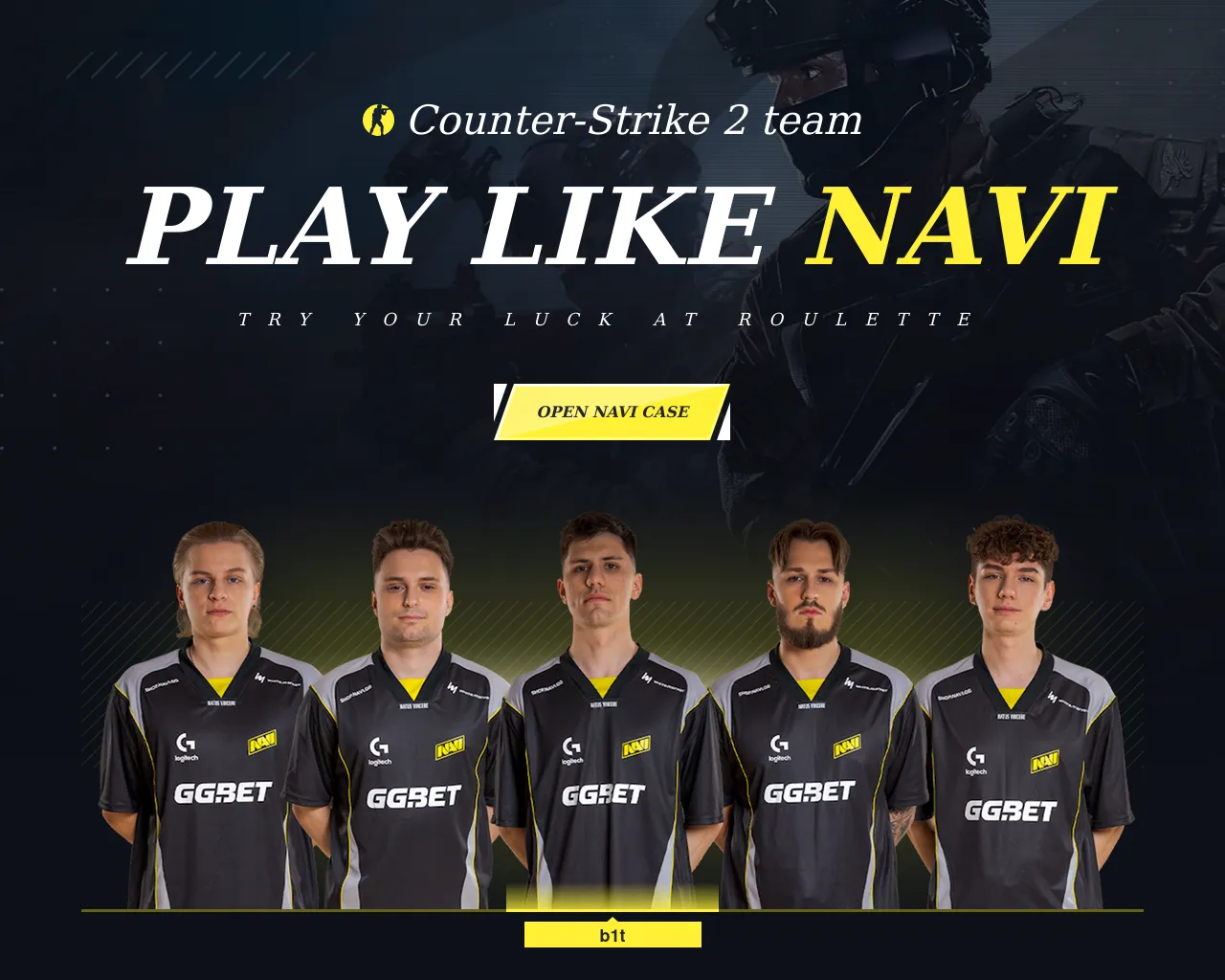 Screenshot of wynavi.com