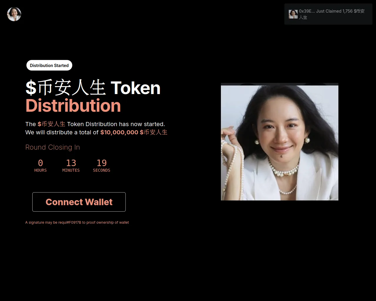 Screenshot of www-yi-allocations.xyz