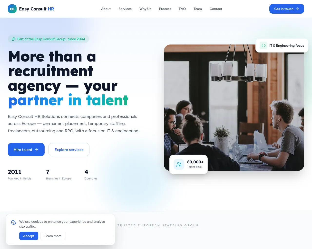 Screenshot of easyconsultrs.com