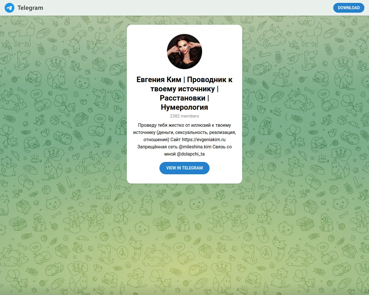 Screenshot of evgeniakim.world
