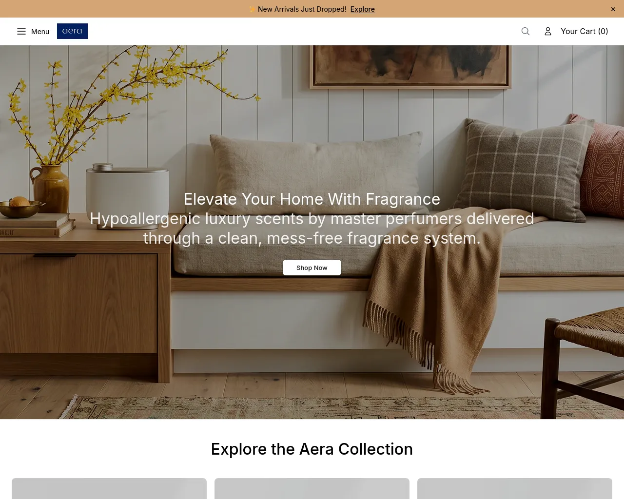 Screenshot of aerashop.shop
