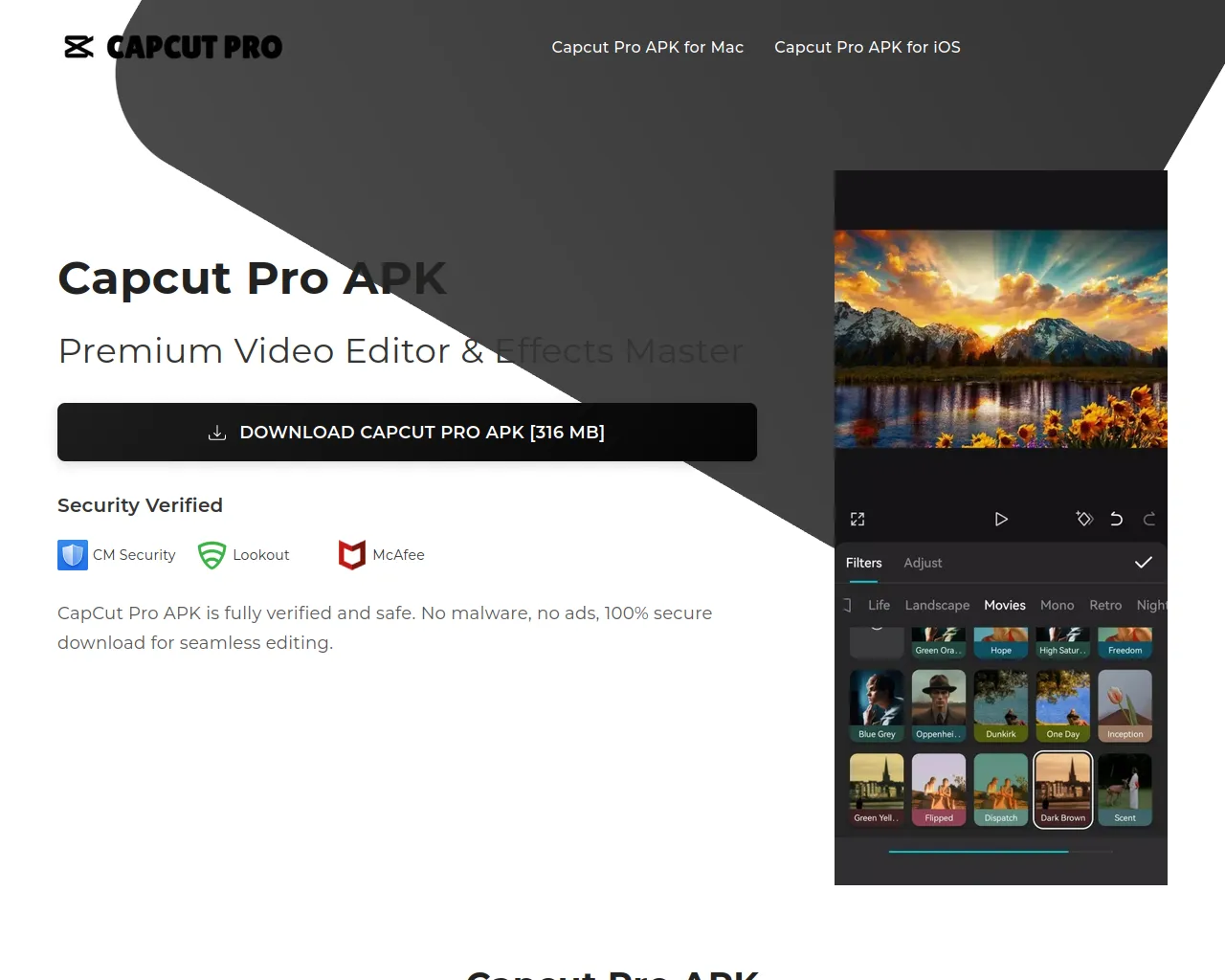 Screenshot of capcutpro.co.com