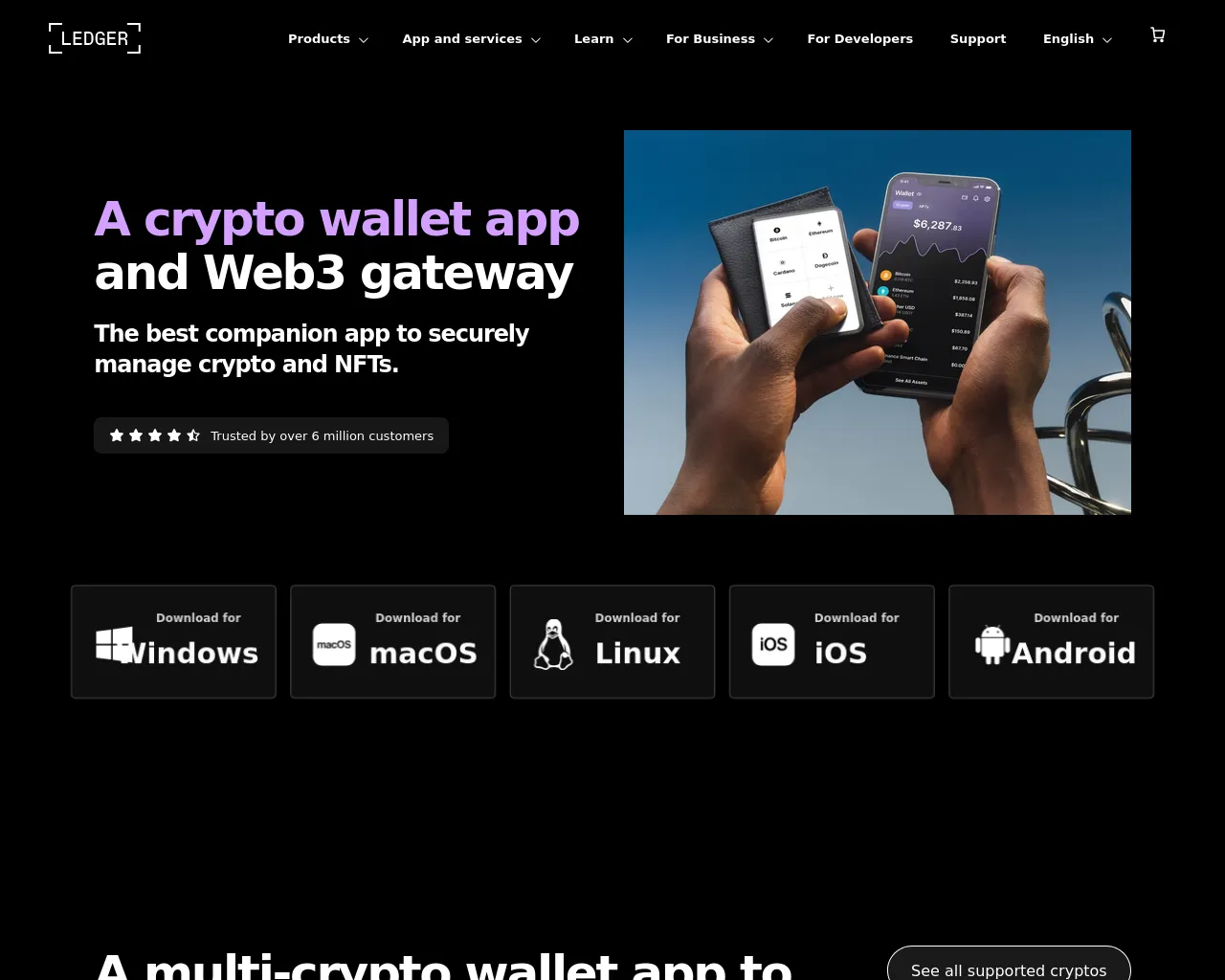 Screenshot of ledger-wallet.us