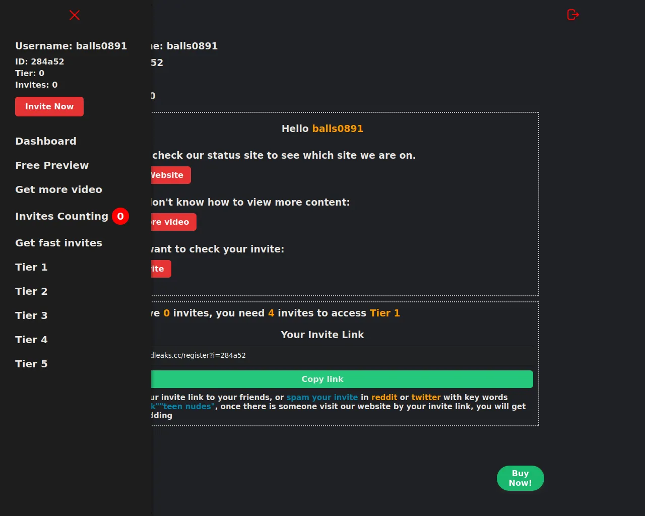 Report - godleaks.cc/register?i=41da8a
