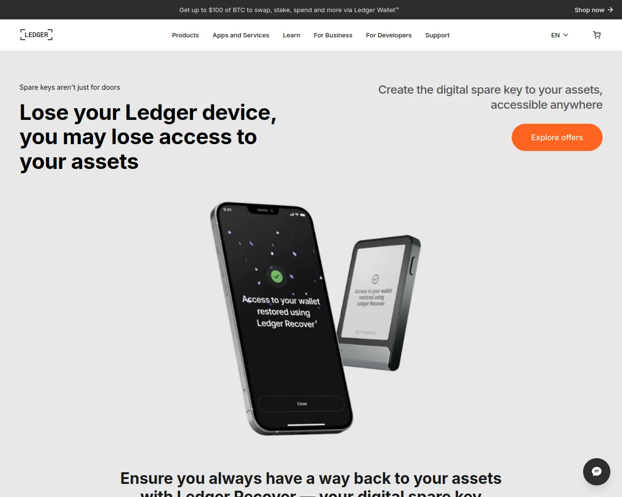 Screenshot of recoveryledger.live