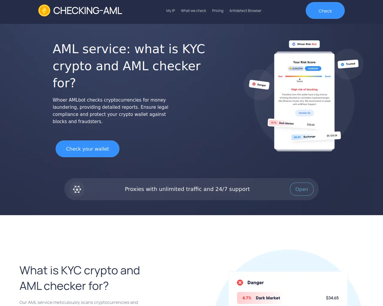 Screenshot of checking-aml.com