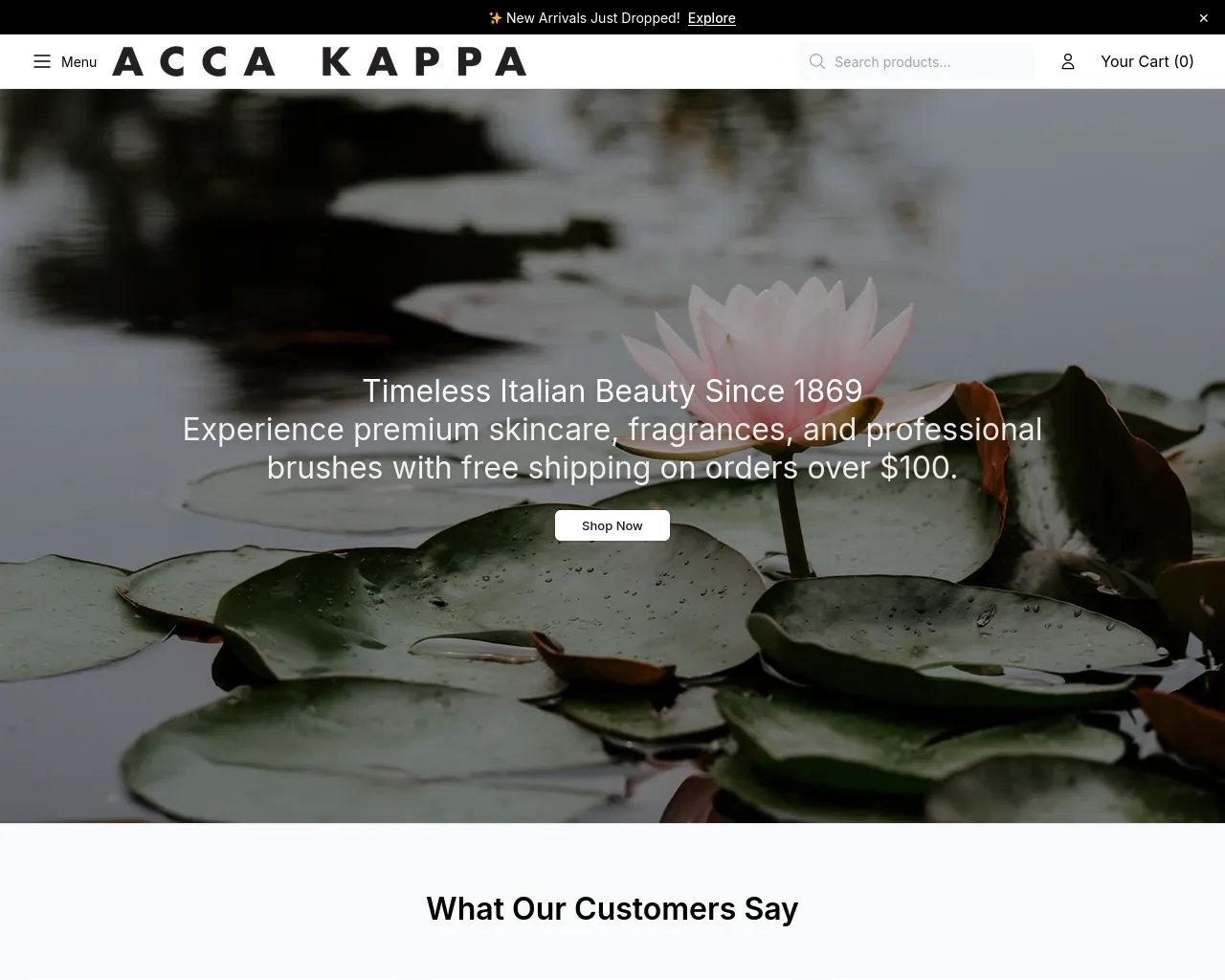 Screenshot of accakappashop.shop
