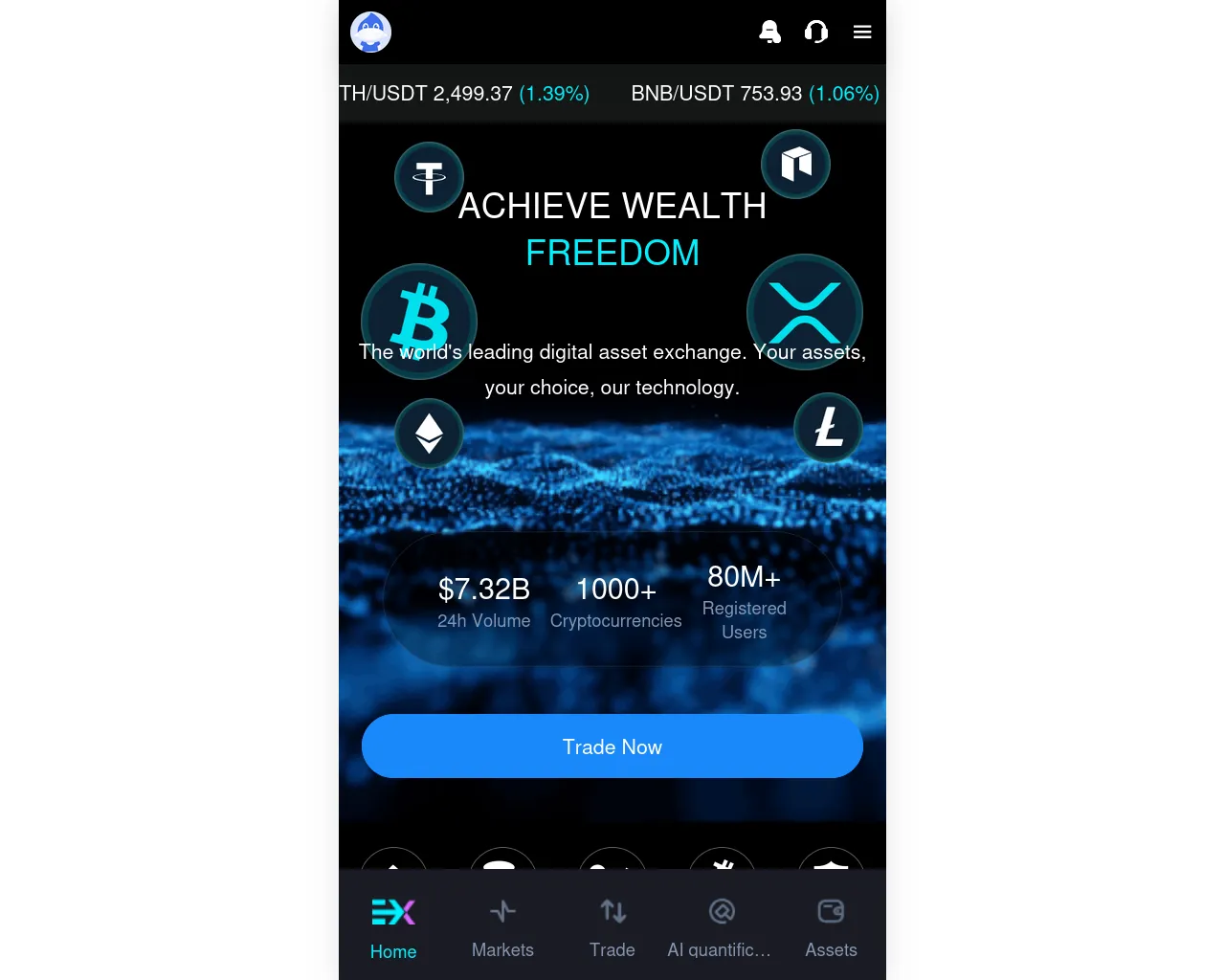 Screenshot of bitflyer.vip