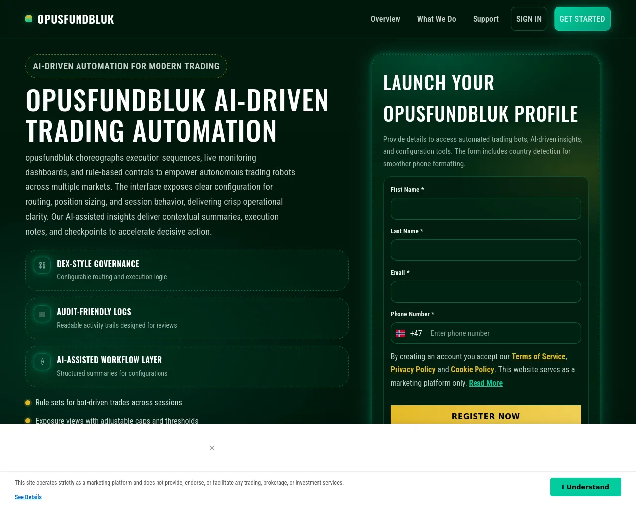 Screenshot of opusfundbluk-tech.com