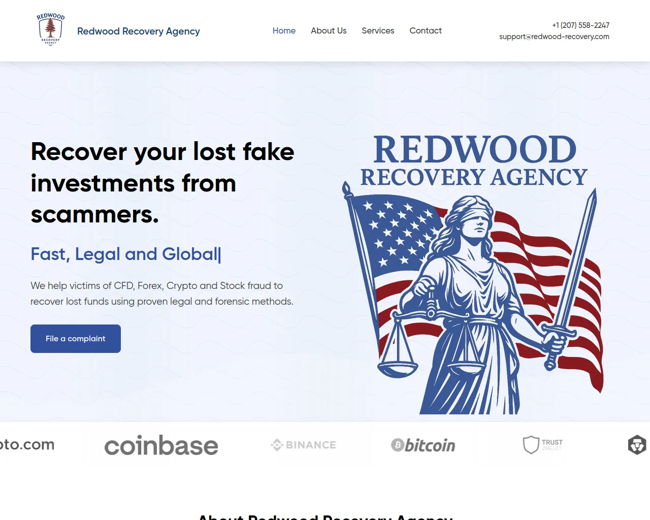 Screenshot of redwood-recovery.com