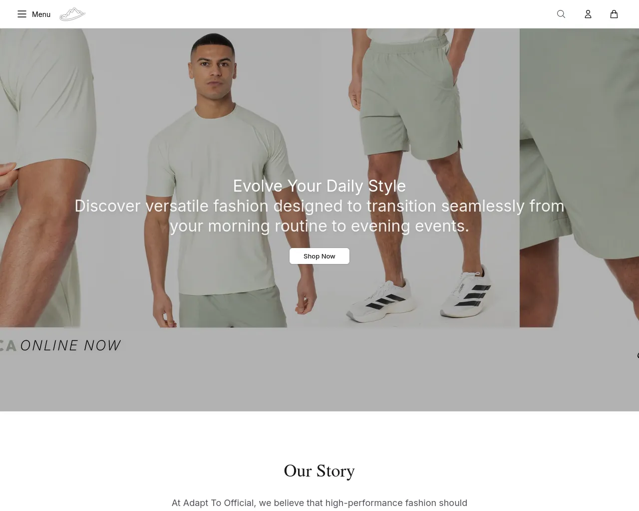 Screenshot of adapttoapparel.shop