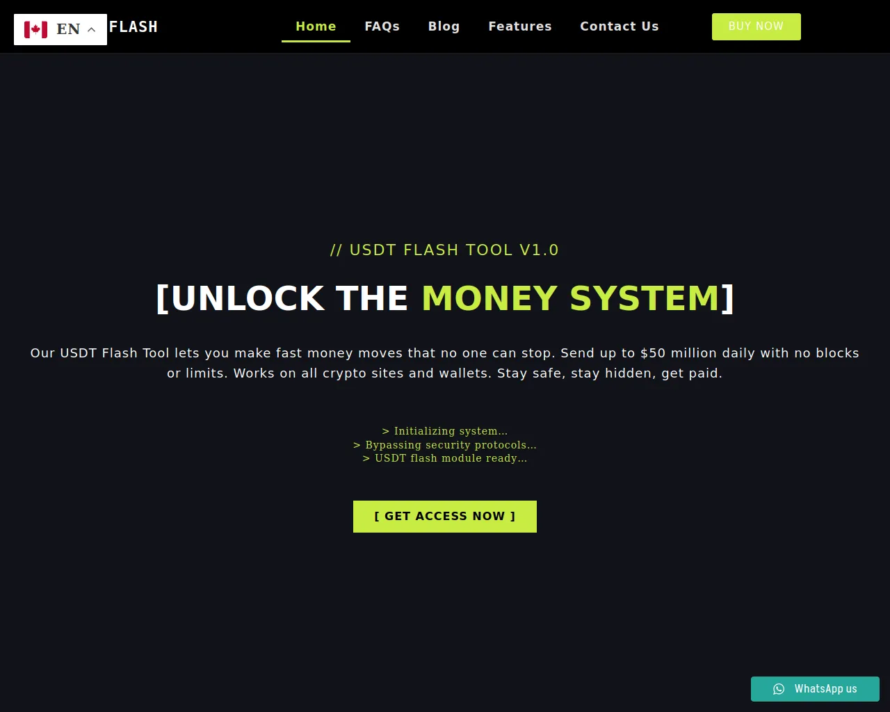Screenshot of flashusdttether.com