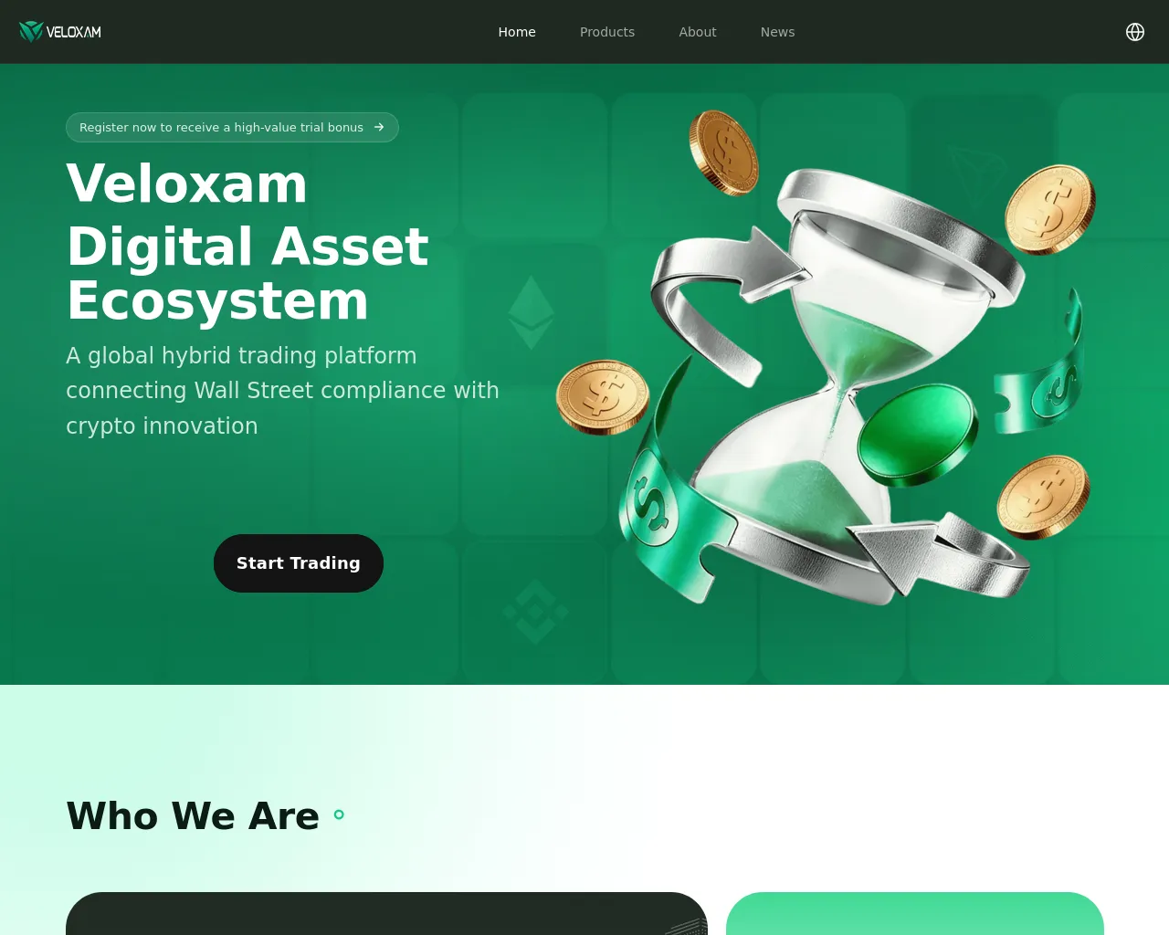 Screenshot of veloxinv.com
