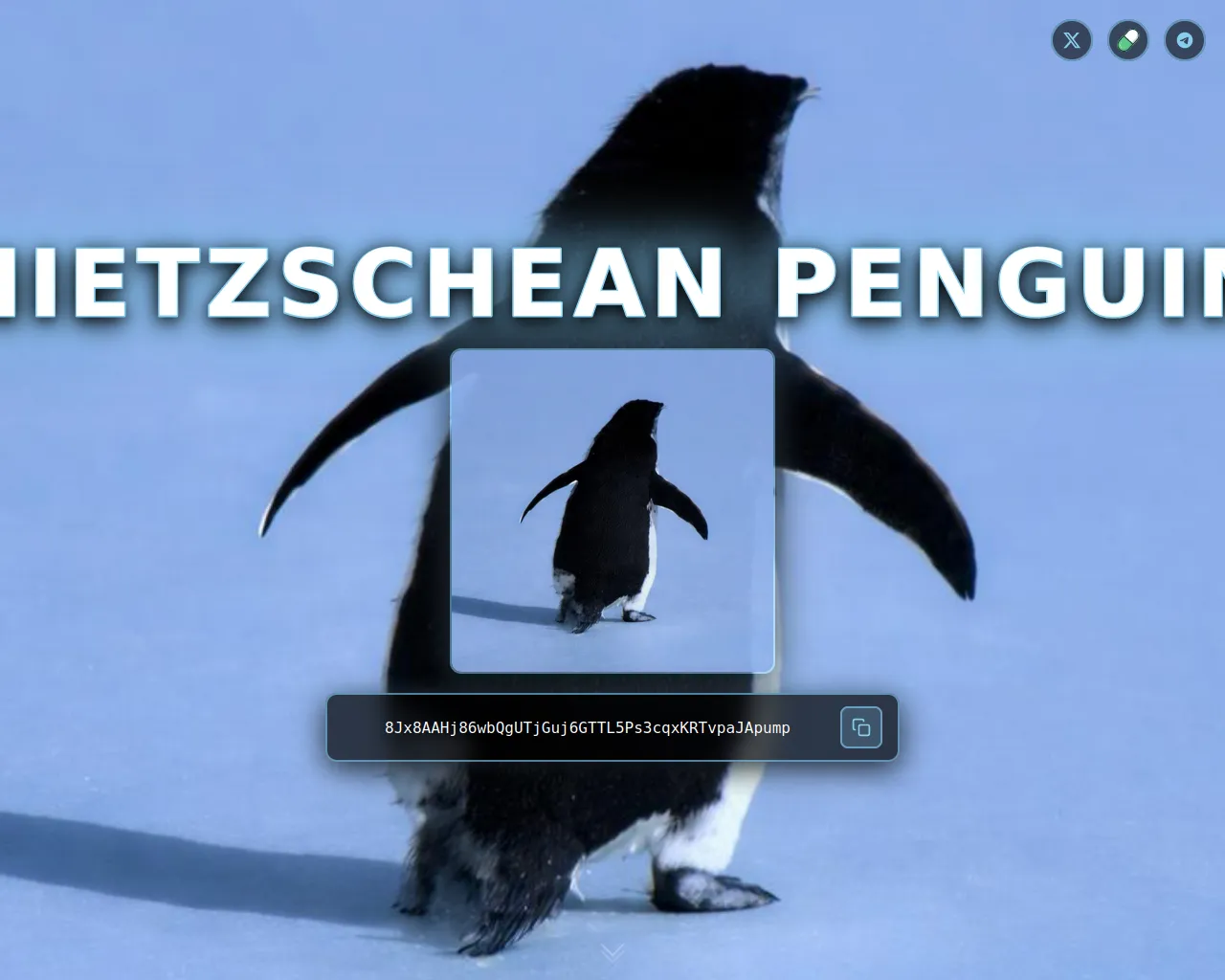 Screenshot of penguinonsol.com