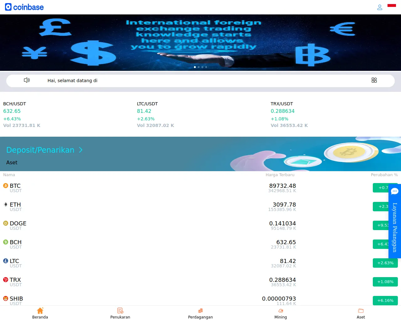 Screenshot of coinbaim.com