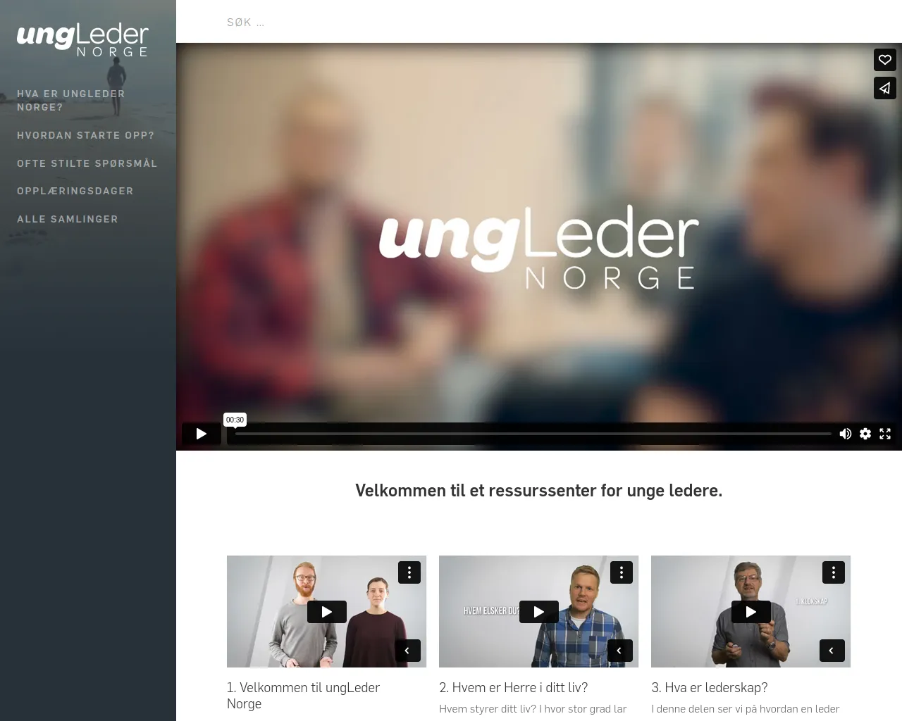 Screenshot of ungleder.no