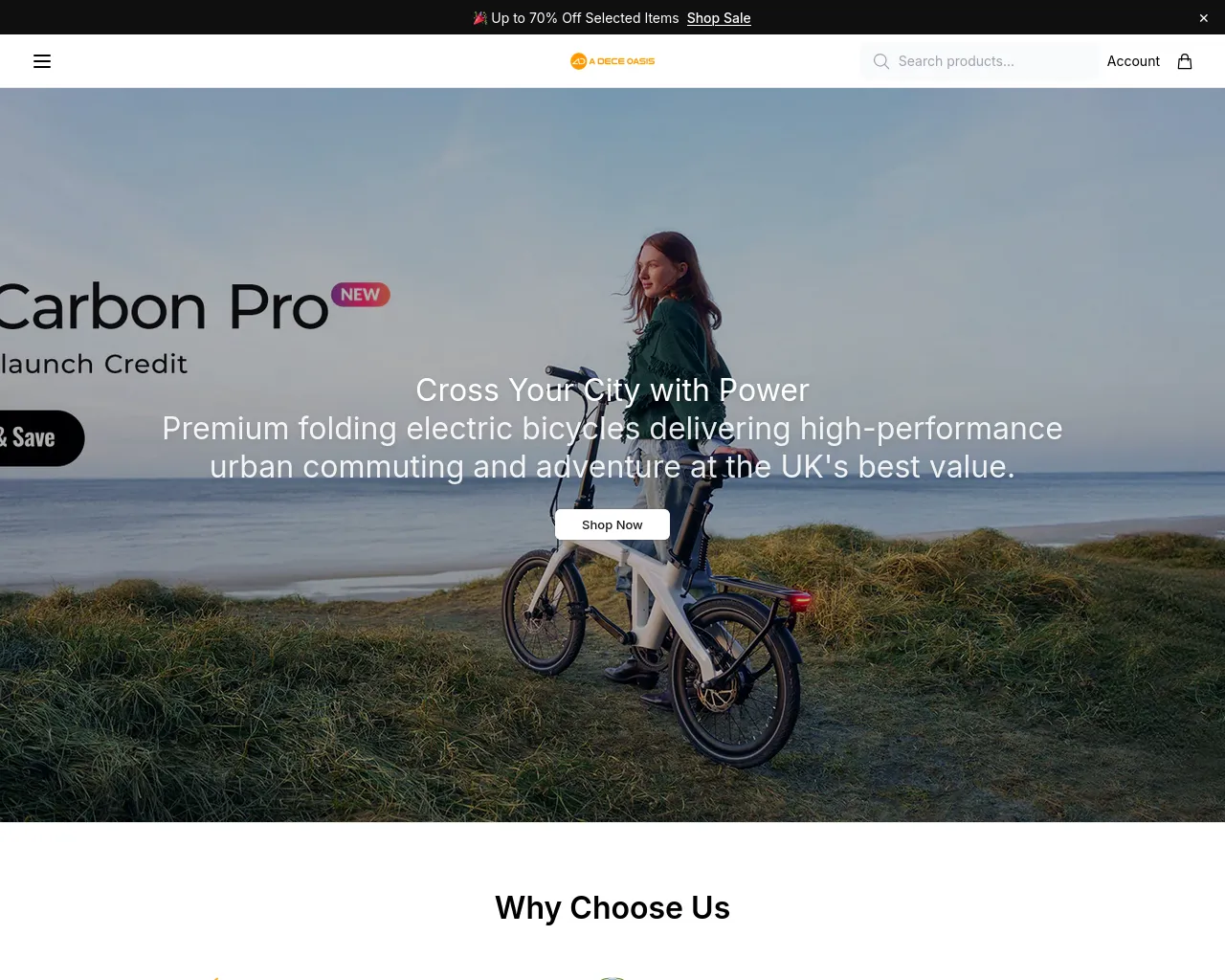 Screenshot of adoebikeofficial.shop