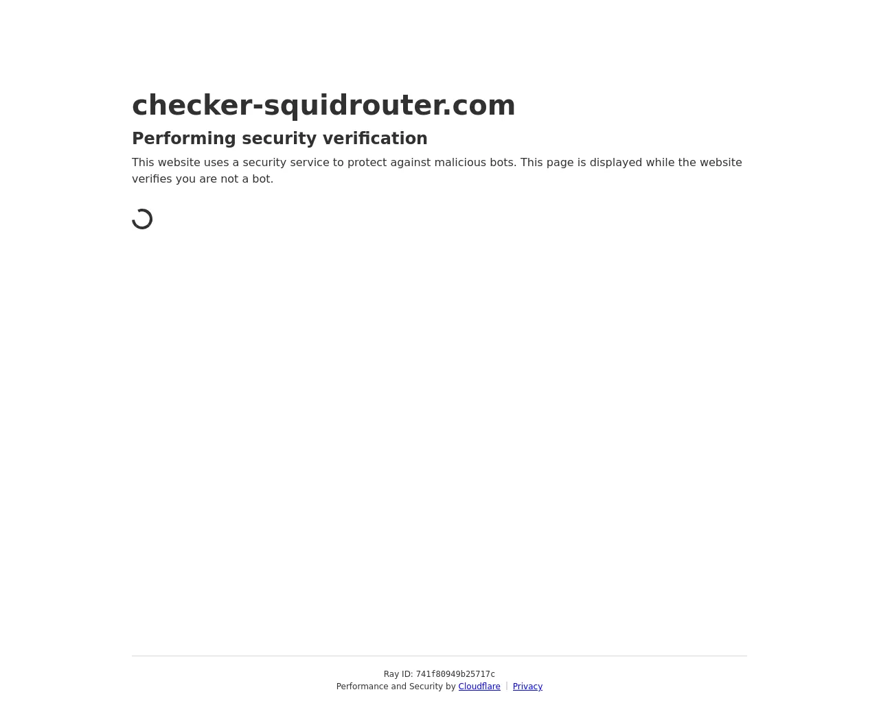 Screenshot of checker-squidrouter.com