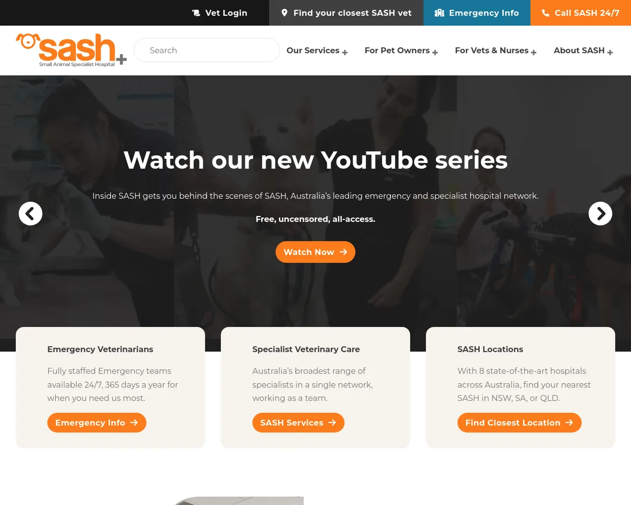 Screenshot of sashvets.live