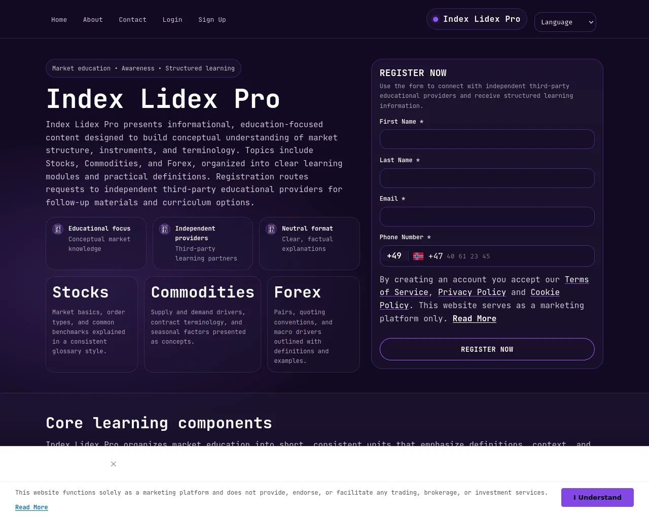 Screenshot of indexlidexpro-solution.com