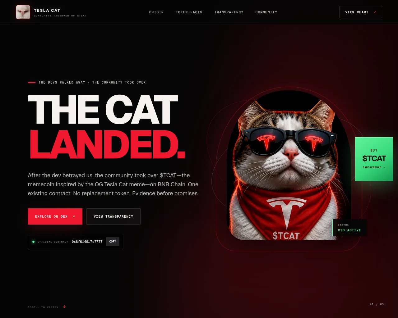 Screenshot of teslacatcto.com