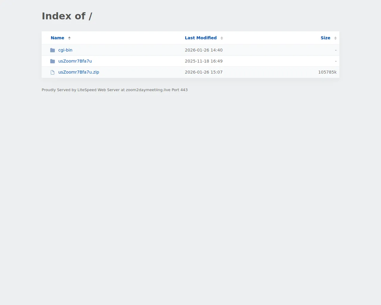 Screenshot of zoom2daymeetiing.live