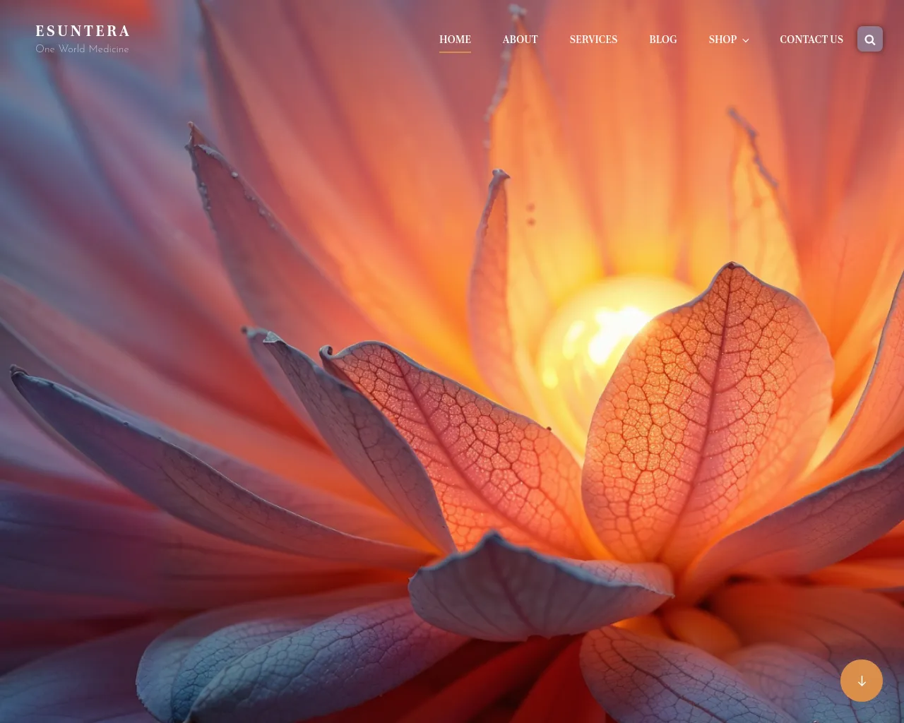 Screenshot of esuntera.org