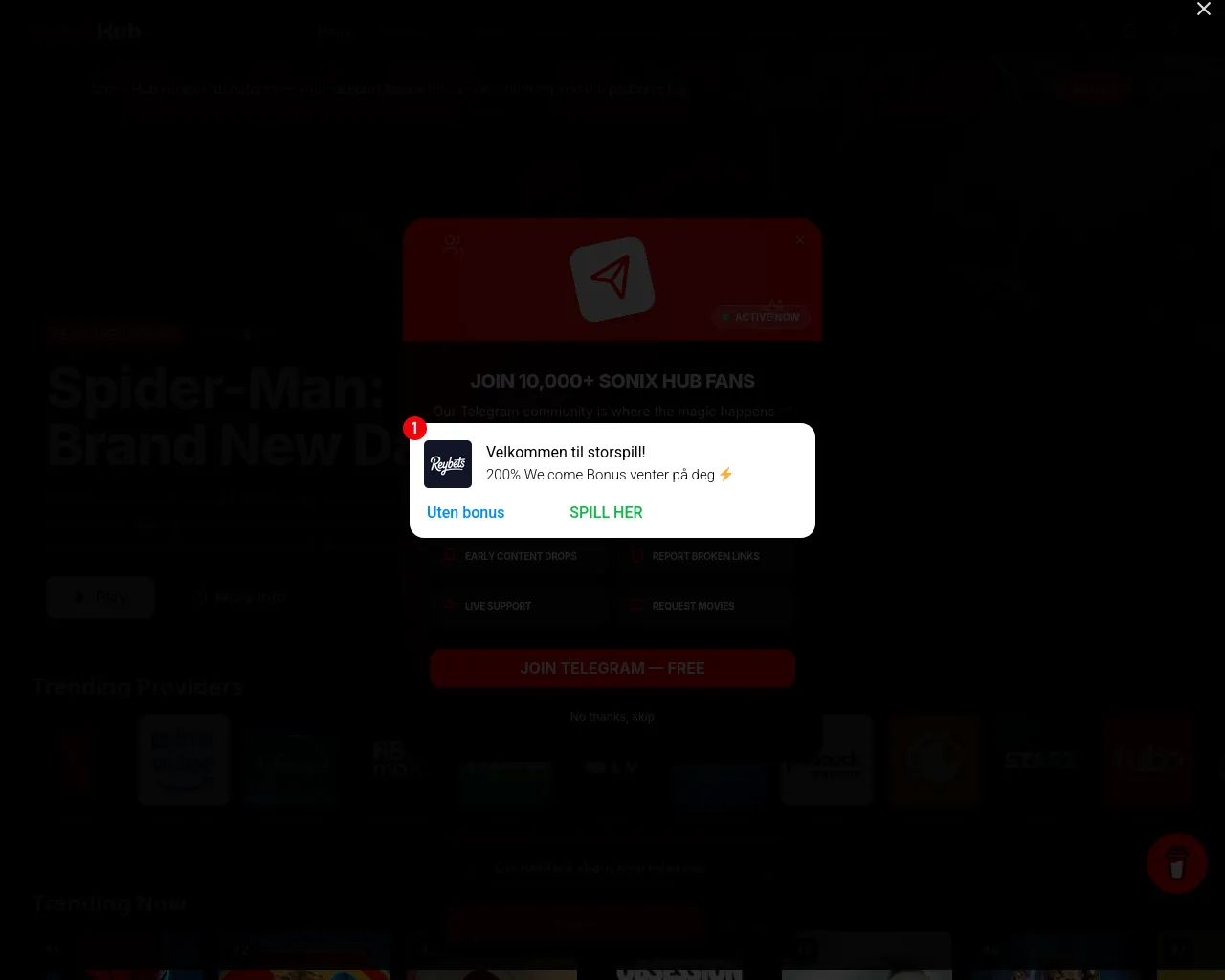 Screenshot of sonixhub.net