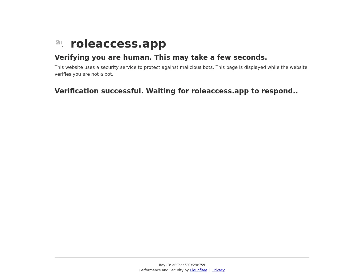 Stored screenshot of roleaccess.app