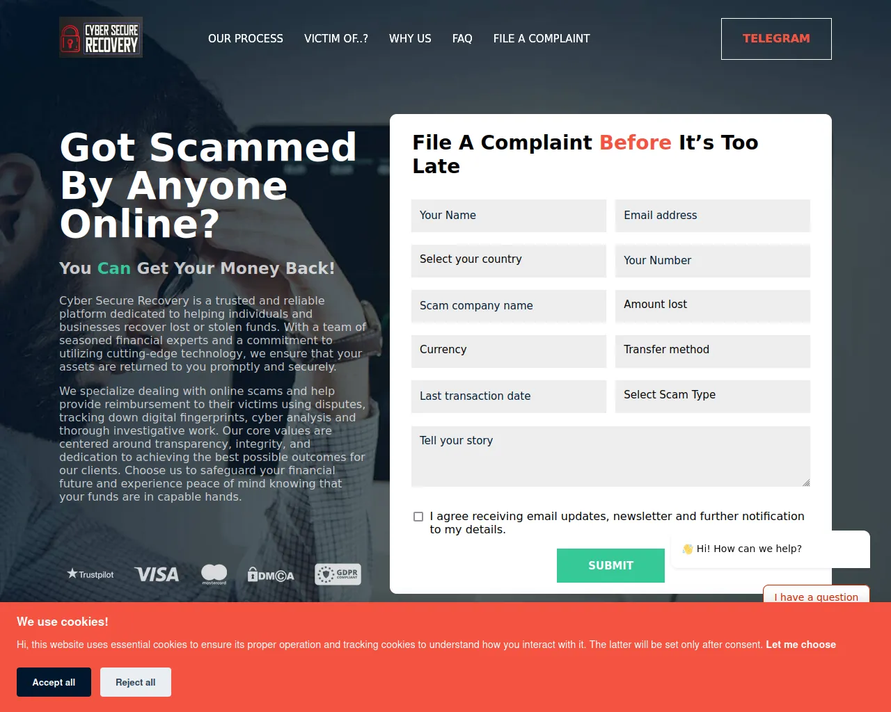 Screenshot of cybersecurerecovery.com